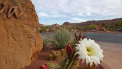 Inn at Entrada