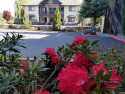 Redwood Motel