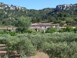 Mas de l'Oulivie