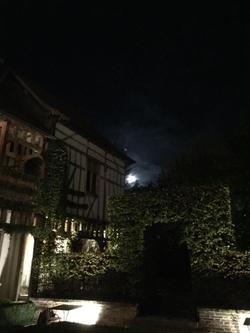 Le Champ des Oiseaux