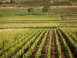 Kyriad Prestige Le Panorama Beaune