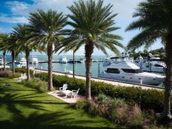 Faro Blanco Resort & Yacht Club Marathon, Curio