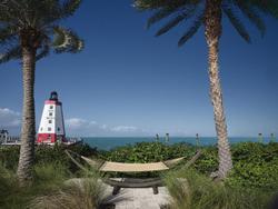 Faro Blanco Resort & Yacht Club Marathon, Curio