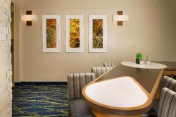 Homewood Suites by Hilton Midland