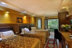 The Istanbul Hotel