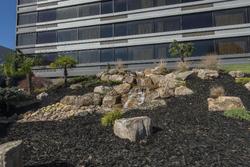 DoubleTree by Hilton Winston Salem - University