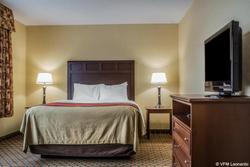 Comfort Inn & Suites Farmington - Victor