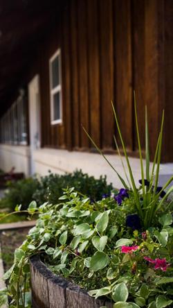 The Appenzell Inn
