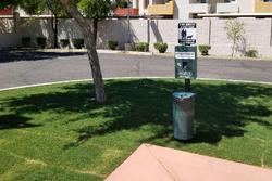 Comfort Inn & Suites Tempe Phoenix SkyHarbor Airpt