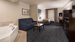 Best Western Flint Airport Inn & Suites