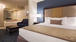 Best Western Flint Airport Inn & Suites