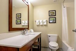 Comfort Inn Indianapolis North - Carmel