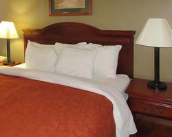 Rodeway Inn Walterboro I-95