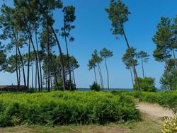 Le Domaine des Grands Lacs - Vacanceole