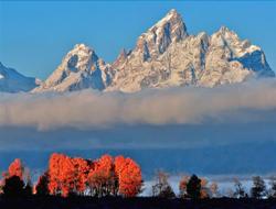 SpringHill Suites Jackson Hole
