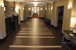 Holiday Inn Express and Suites Starkville