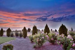 Holiday Inn Express and Suites Nampa Idaho Center