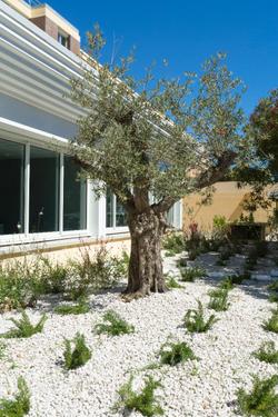 Operalia Hotel Les Pins