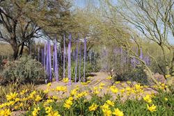 Canyon Suites at The Phoenician, Luxury Collection