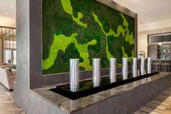 Embassy Suites by Hilton San Antonio Landmark