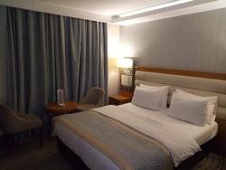 Grand Turkuaz Hotel  Bursa