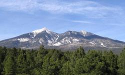 Fairfield Inn & Suites Flagstaff East