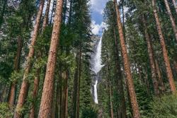 Holiday Inn Exp & Sts Oakhurst - Yosemite Park Ar.