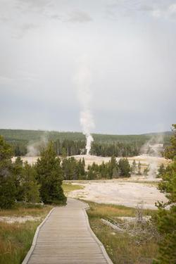 Under Canvas Yellowstone