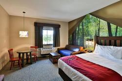 Great Wolf Lodge Atlanta LaGrange