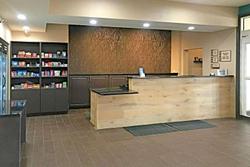 Rodeway Inn & Suites O'Fallon
