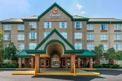 Comfort Inn Suites Nashville Franklin Cool Springs