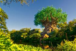Disney's Riviera Resort