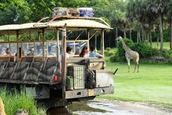 Disney's Animal Kingdom Villas Jambo House