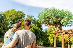 Disney's Animal Kingdom Villas Jambo House
