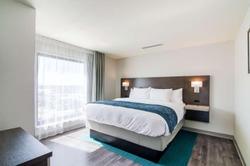 Comfort Inn & Suites Gulf Shores East Beach