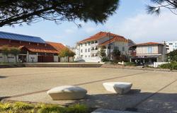 Nemea Le Marche de La Plage