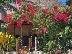 The Pelican Key Largo Cottages