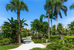 Tropical Beach Resorts