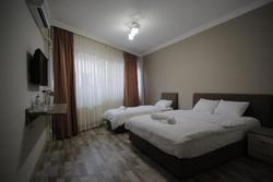Puffin Suite