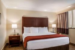 Comfort Inn & Suites At Copeland Tower