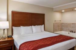 Comfort Inn & Suites At Copeland Tower