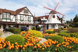 Auld Holland Inn