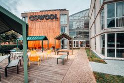Cowool Cergy