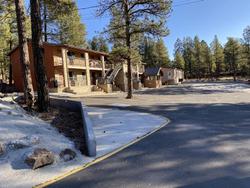 Motel In The Pines