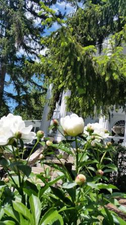 Albemarle Inn Asheville