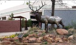 Apache Casino Hotel