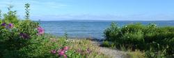 Stafford S Bay View Inn