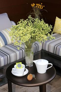Chalet Hotel Whymper