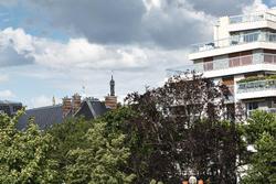Botaniste