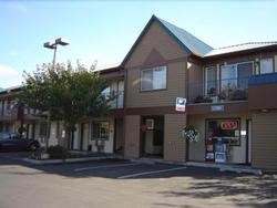 Tulip Inn
